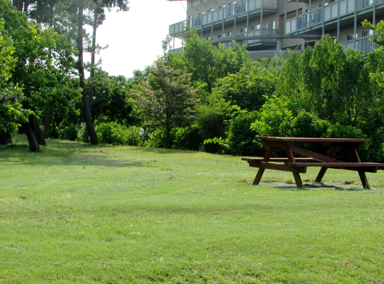 豊かな自然と最高の景色